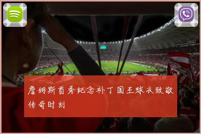 詹姆斯首秀纪念补丁国王球衣致敬传奇时刻