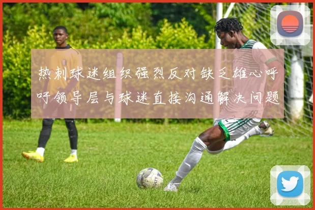 热刺球迷组织强烈反对缺乏雄心呼吁领导层与球迷直接沟通解决问题